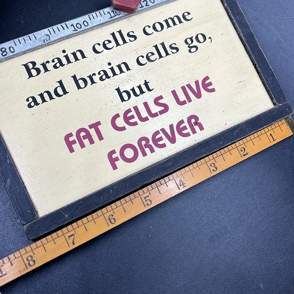 Primitive Humorous Wall Plaque Hanging Sign 